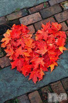 新潟デリヘル五十路マダム新潟店(カサブランカグループ)(イソジマダムニイガタテン) 今井ゆきえ(53)の11月11日写メブログ「夢占い(；゜∀゜)」