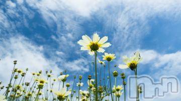 新潟デリヘル五十路マダム新潟店(カサブランカグループ)(イソジマダムニイガタテン)今井ゆきえ(53)の2021年9月13日写メブログ「おはようございます♪」