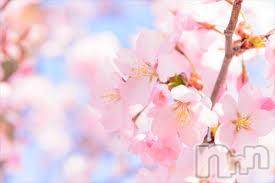 新潟デリヘル五十路マダム新潟店(カサブランカグループ)(イソジマダムニイガタテン)今井ゆきえ(53)の2022年3月22日写メブログ「こんにちは♪♪」