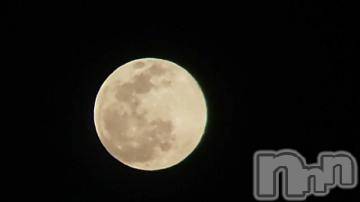 新潟デリヘル五十路マダム新潟店(カサブランカグループ)(イソジマダムニイガタテン)今井ゆきえ(53)の2023年3月8日写メブログ「出勤しました(*´∀｀)ノ」