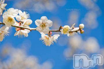 新潟デリヘル五十路マダム新潟店(カサブランカグループ)(イソジマダムニイガタテン)今井ゆきえ(53)の2023年3月19日写メブログ「今週は(*´∀｀)ノ」