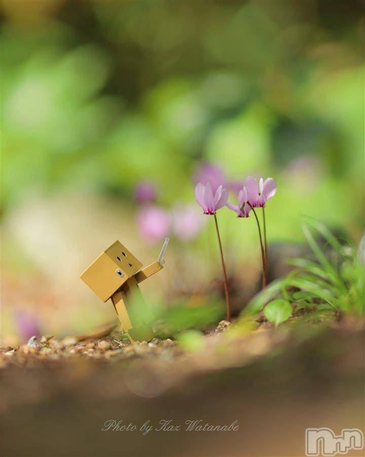 新潟デリヘル五十路マダム新潟店(カサブランカグループ)(イソジマダムニイガタテン)今井ゆきえ(53)の2024年11月16日写メブログ「こんばんわ(*´∀｀)ノ★」