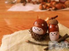 新潟デリヘル五十路マダム新潟店(カサブランカグループ)(イソジマダムニイガタテン) 今井ゆきえ(53)の10月8日写メブログ「おはようございます♪♪」