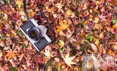 新潟デリヘル五十路マダム新潟店(カサブランカグループ)(イソジマダムニイガタテン) 今井ゆきえ(53)の11月9日写メブログ「こんばんわ(*´∀｀)ノ★」