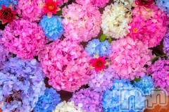 新潟デリヘル五十路マダム新潟店(カサブランカグループ)(イソジマダムニイガタテン) 今井ゆきえ(53)の6月3日写メブログ「出勤します♪」