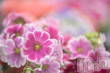 新潟デリヘル 五十路マダム新潟店(カサブランカグループ)(イソジマダムニイガタテン) 今井ゆきえ(54)の12月25日写メブログ「こんばんは★゛」