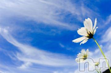 新潟デリヘル 五十路マダム新潟店(カサブランカグループ)(イソジマダムニイガタテン) 今井ゆきえ(54)の9月6日写メブログ「おはようございます♪♪」