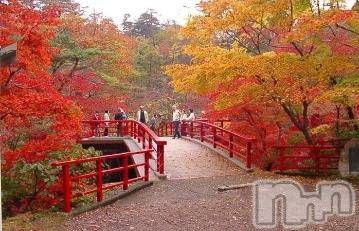 新潟デリヘル 五十路マダム新潟店(カサブランカグループ)(イソジマダムニイガタテン) 今井ゆきえ(54)の11月8日写メブログ「おはようございます♪」