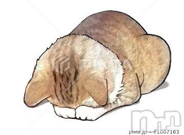 新潟デリヘル 五十路マダム新潟店(カサブランカグループ)(イソジマダムニイガタテン) 今井ゆきえ(54)の10月9日写メブログ「度々m(_ _)m」