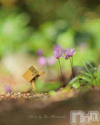 新潟デリヘル 五十路マダム新潟店(カサブランカグループ)(イソジマダムニイガタテン) 今井ゆきえ(53)の11月16日写メブログ「こんばんわ(*´∀｀)ノ★」