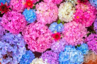 新潟デリヘル 五十路マダム新潟店(カサブランカグループ)(イソジマダムニイガタテン) 今井ゆきえ(53)の6月3日写メブログ「出勤します♪」