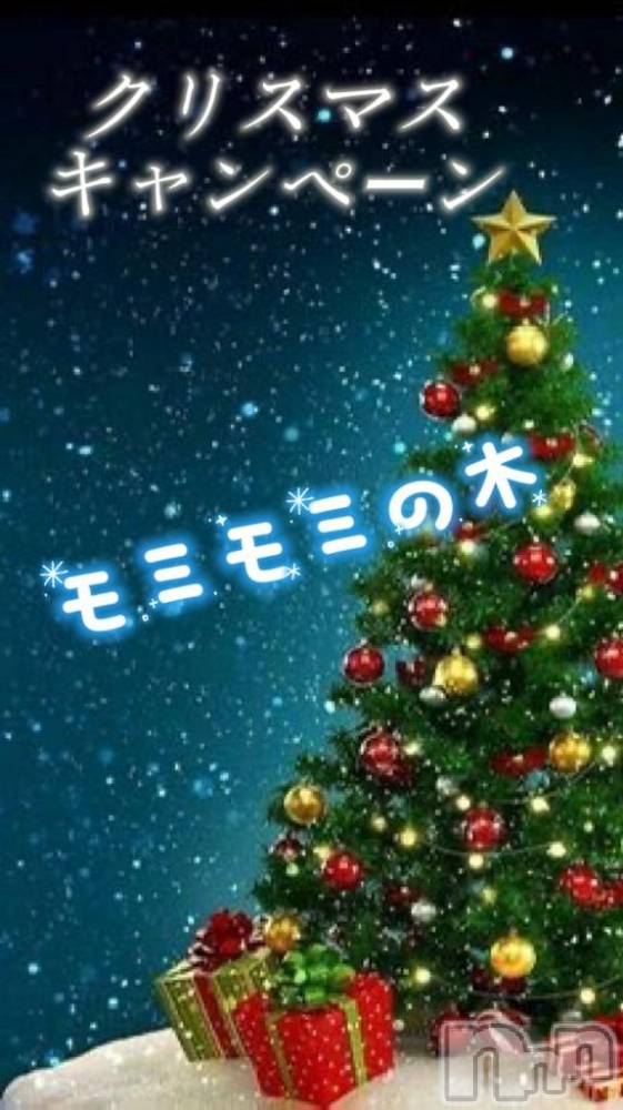 長岡デリヘルBIANCA～主人の知らない私～長岡店(ビアンカナガオカテン) 甲坂　すず(32)の12月3日写メブログ「合言葉はモミモミの木だよー🎄」