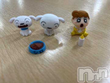 長岡デリヘルBIANCA～主人の知らない私～長岡店(ビアンカナガオカテン)甲坂　すず(32)の2024年9月8日写メブログ「犬と赤ちゃん」