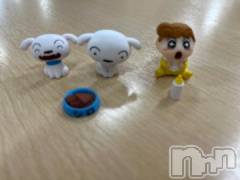 長岡デリヘルBIANCA～主人の知らない私～長岡店(ビアンカナガオカテン) 甲坂　すず(32)の9月8日写メブログ「犬と赤ちゃん」