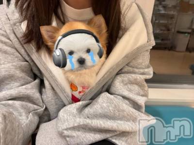 長岡デリヘル BIANCA～主人の知らない私～長岡店(ビアンカナガオカテン) 甲坂　すず(32)の10月8日写メブログ「緊急入院」