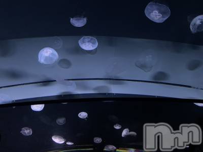 ƲХ顦THE LOUNGE (饦󥸥ե) 225̥֥֡:]ߡ