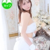 ノア(26)