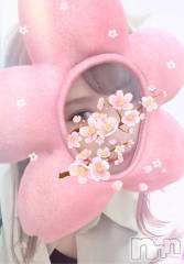 長岡デリヘルROOKIE(ルーキー) 未経験みづほ(25)の3月29日写メブログ「サクラ」