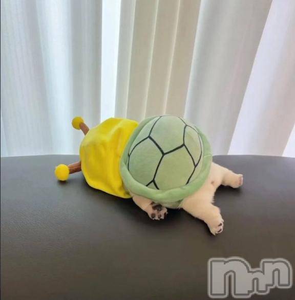 長岡デリヘルBIANCA～主人の知らない私～長岡店(ビアンカナガオカテン) 前田　ゆりこ(34)の12月27日写メブログ「ｳｵｵｵｵｱｱｱｱ( 'ω')/ｱｱｱｱｱｯｯｯｯ!!!!!」