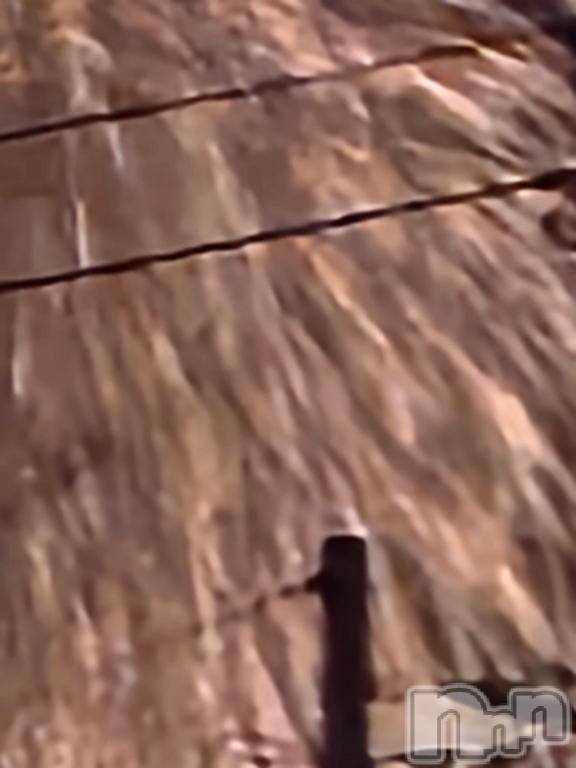 長岡デリヘルBIANCA～主人の知らない私～長岡店(ビアンカナガオカテン)前田　ゆりこ(34)の2025年8月3日写メブログ「今日って13:00までなんだね🥺」