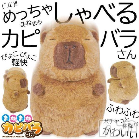 長岡デリヘルBIANCA～主人の知らない私～長岡店(ビアンカナガオカテン)前田　ゆりこ(34)の2025年8月21日写メブログ「ケケケケケケケケケッ」