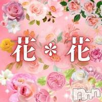 新潟メンズエステ(ハナハナ)の2023年2月9日お店速報「🌺花＊花　2/8（水）～2/17（金）迄バレンタインフェア開催　♪」