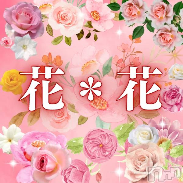 新潟メンズエステ(ハナハナ)の2023年7月15日お店速報「🌺花＊花　10時半～3号館エリカ＆13時～5号館ゆり出勤です　(^^♪」