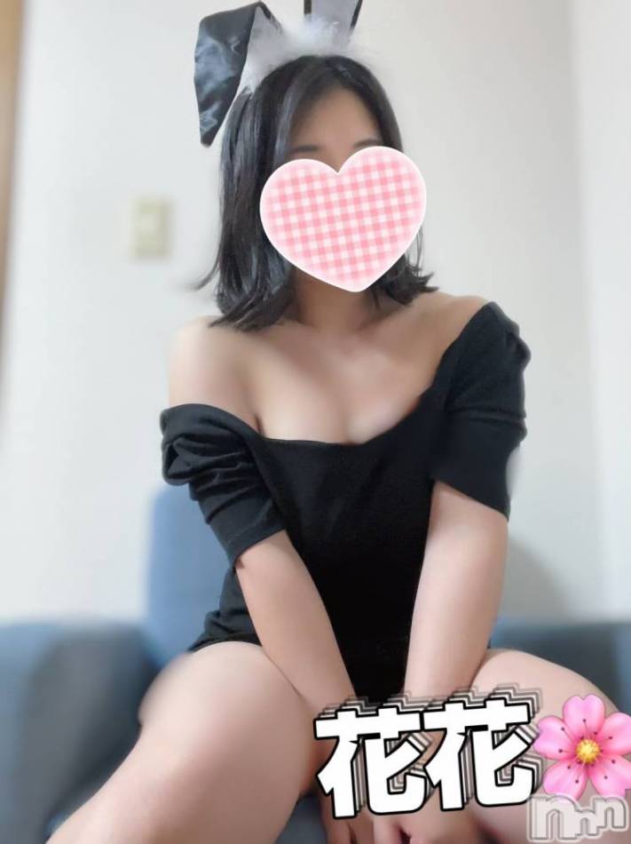 新潟メンズエステ(ハナハナ)の2023年12月9日お店速報「あんずのスタート割引で癒しモード突入・・」