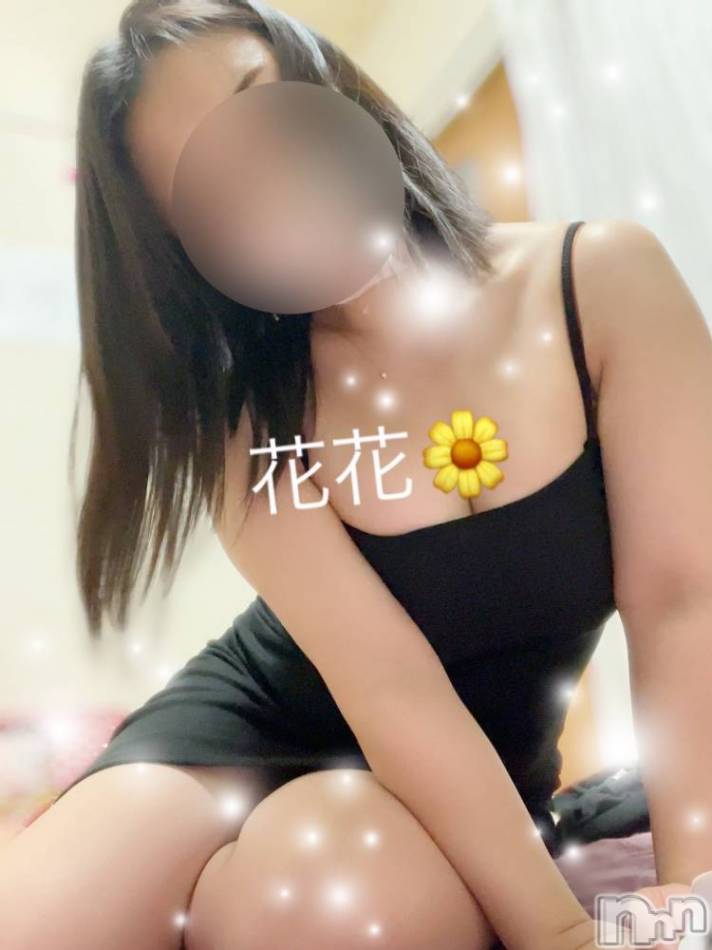 新潟メンズエステ(ハナハナ)の2024年2月6日お店速報「お色気満載ももさん・あんずさん60分・2000円・90分・3000円引き」