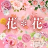 󥺥 ֡(ϥʥϥ)322Ź®ֲ֡֡3/23ڡˤνжФǤ(^^ԥ罸Ƥޤ
