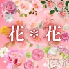 㡦ȯĥꥢ󥺥 ֡(ϥʥϥ)425Ź®ֲֲ 60ǳǽǤ♡♡