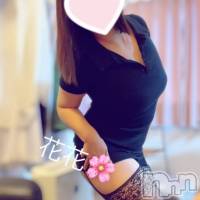 新潟メンズエステ 花＊花(ハナハナ)の1月8日お店速報「あんずの癒しホットスポットできょうは割引で・・極楽行き」