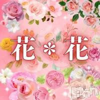 新潟メンズエステ 花＊花(ハナハナ)の3月17日お店速報「🌺花＊花　10時～電話受付開始です♪お電話お待ちしております(^^♪」