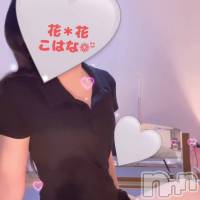 新潟メンズエステ 花＊花(ハナハナ)の1月16日お店速報「花花こはなさん、色白美人で癒し上手です。今日は割引発信でお得にどうぞ～」
