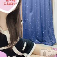 新潟メンズエステ 花＊花(ハナハナ)の6月13日お店速報「花花 癒し系ならこはなさん❤︎割引あります🌿‬🌼」