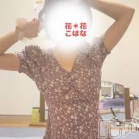 新潟メンズエステ 花＊花(ハナハナ)の6月20日お店速報「花花 癒し系No.1こはなさんご案内可能です♡♡」