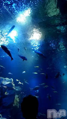 新潟デリヘル五十路マダム新潟店(カサブランカグループ)(イソジマダムニイガタテン)雪野ひな(49)の2021年6月17日写メブログ「こんにちは」