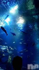 新潟デリヘル五十路マダム新潟店(カサブランカグループ)(イソジマダムニイガタテン) 雪野ひな(49)の6月17日写メブログ「こんにちは」