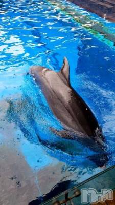 新潟デリヘル 五十路マダム新潟店(カサブランカグループ)(イソジマダムニイガタテン) 雪野ひな(49)の7月12日写メブログ「こんにちは」