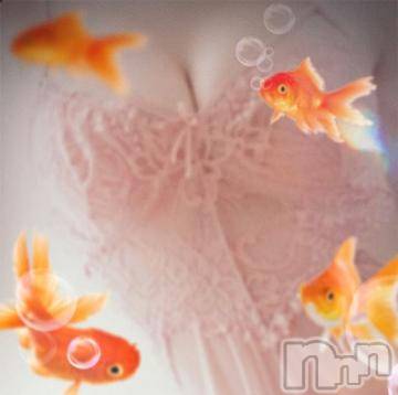 新潟デリヘル 五十路マダム新潟店(カサブランカグループ)(イソジマダムニイガタテン) 雪野ひな(49)の8月4日写メブログ「おはようございます」