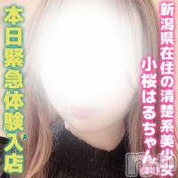 上越デリヘル RICHARD（リシャール）(リシャール)の5月22日お店速報「🔥新潟美少女が本日体験入店🔥」