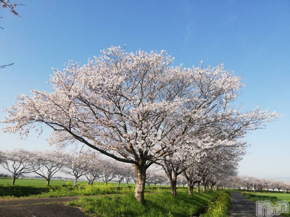 長野人妻デリヘルStory ～人妻物語～(ストーリー) 激安☆るみこ(43)の3月27日写メブログ「うん～お見事～。」