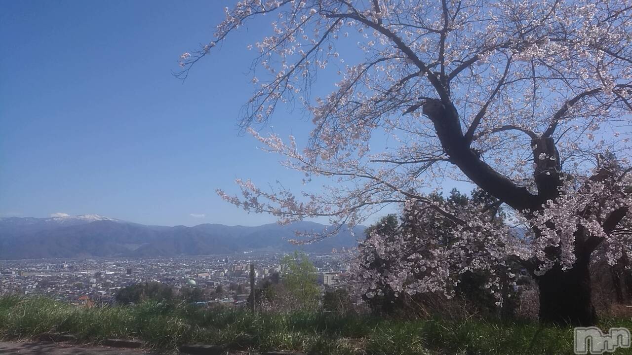 長野人妻デリヘルStory ～人妻物語～(ストーリー)激安☆るみこ(43)の2021年4月7日写メブログ「るんるんデート…風もあまりなく…桜が最高に綺麗でした。ありがとう～。」