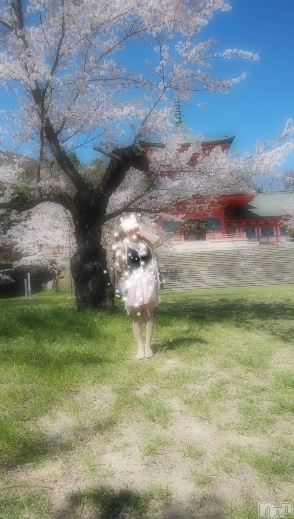 長野人妻デリヘルStory ～人妻物語～(ストーリー)激安☆るみこ(43)の2021年4月8日写メブログ「綺麗なぁ～ほのかな香りのする～桜の木の下で～」