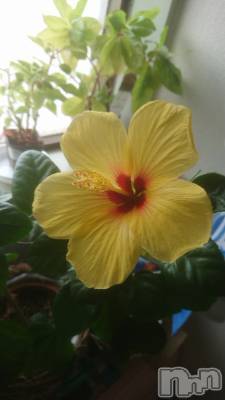 長野デリヘル Story ～人妻物語～(ストーリー) 激安☆るみこ(43)の9月22日写メブログ「今日も元気がでますように～(*´∀｀)」