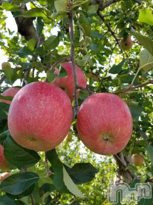 長野デリヘル Story ～人妻物語～(ストーリー) 激安☆るみこ(43)の10月15日写メブログ「これからより美味しく～(*´∀｀)」