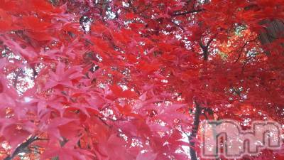 長野デリヘル Story ～人妻物語～(ストーリー) 激安☆るみこ(43)の11月10日写メブログ「またお会いしましたね➰ありがとうございました(o゜◇゜)ゝ」