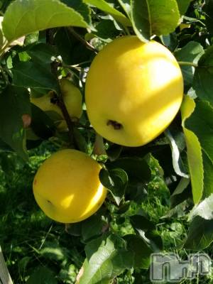 長野デリヘル Story ～人妻物語～(ストーリー) 激安☆るみこ(43)の11月10日写メブログ「先程は…ありがとうございました(o゜◇゜)ゝ」