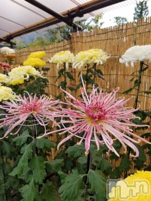 長野デリヘル Story ～人妻物語～(ストーリー) 激安☆るみこ(43)の11月19日写メブログ「こんにちは～いつ見ても綺麗だなぁ～♪ヽ(´▽｀)/           」