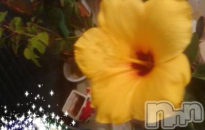 長野デリヘル Story ～人妻物語～(ストーリー) 激安☆るみこ(43)の12月9日写メブログ「深夜に…(^ー^)この寒い季節の中…見事に咲きました。」